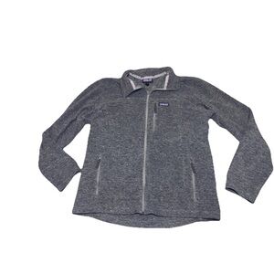 Patagonia Classic Synchilla Fleece Jacket Mens Large Full Zip Grey Gray READ